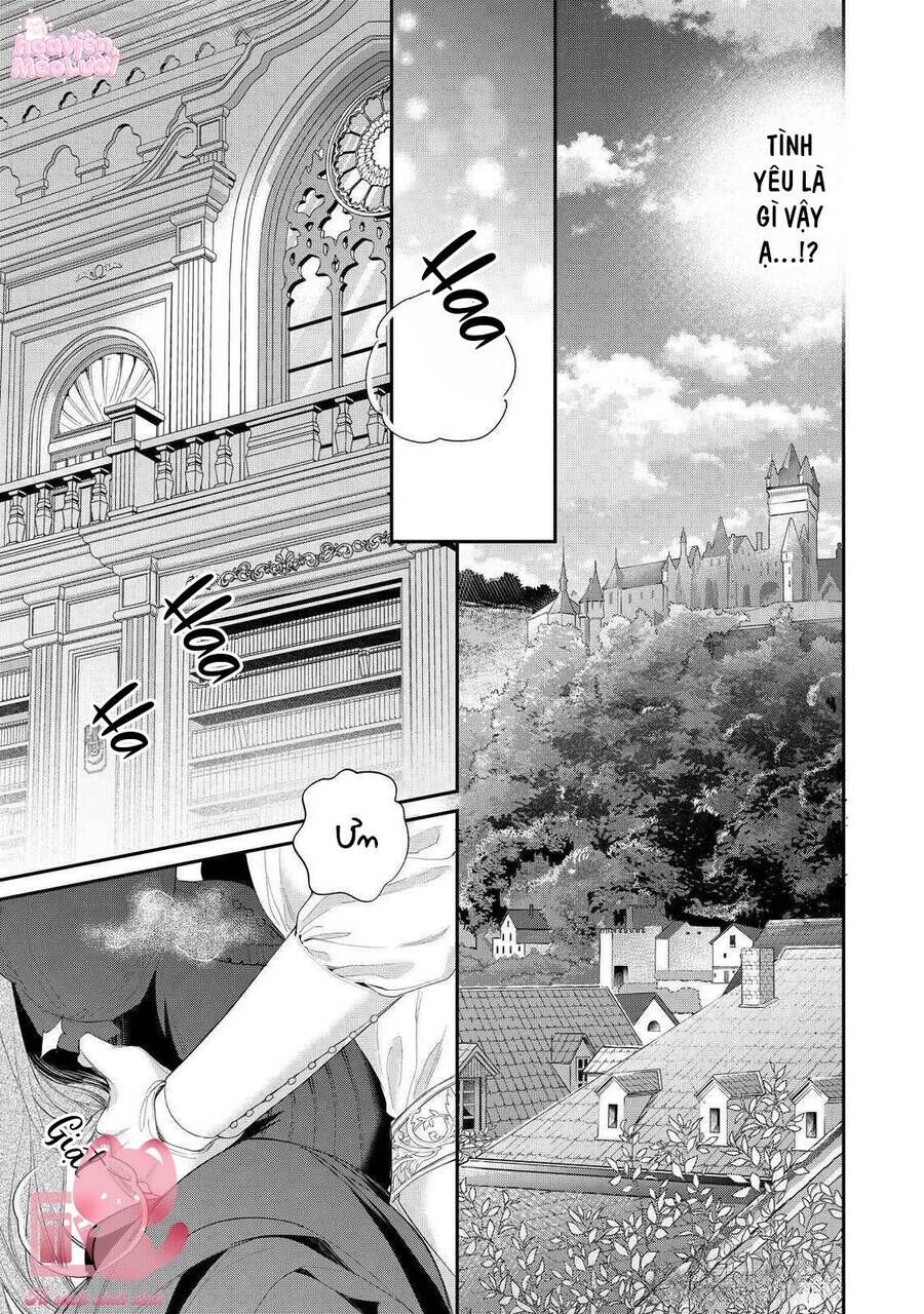 Hoa Hồng Ẩn Giấu Sao Băng Chapter 17 - 17