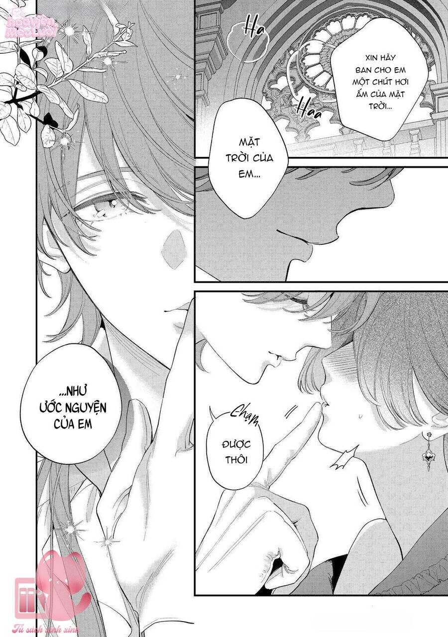 Hoa Hồng Ẩn Giấu Sao Băng Chapter 17 - 20