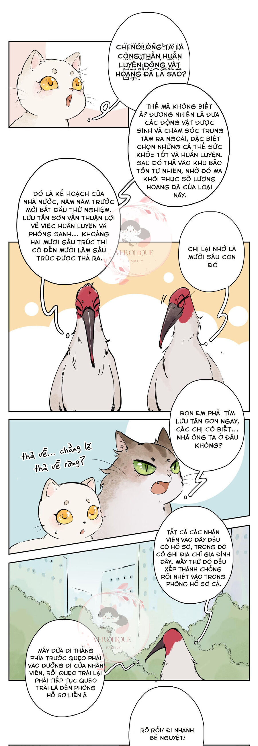 Ngũ Miêu Chapter 25 - 16