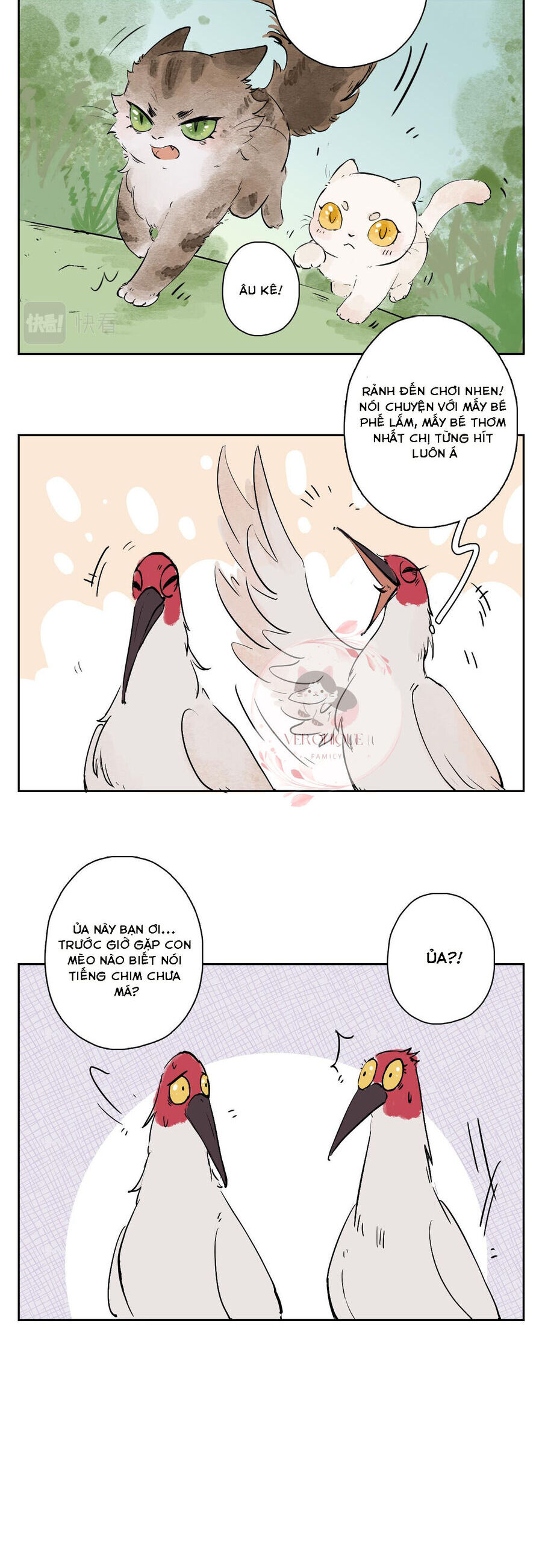 Ngũ Miêu Chapter 25 - 17