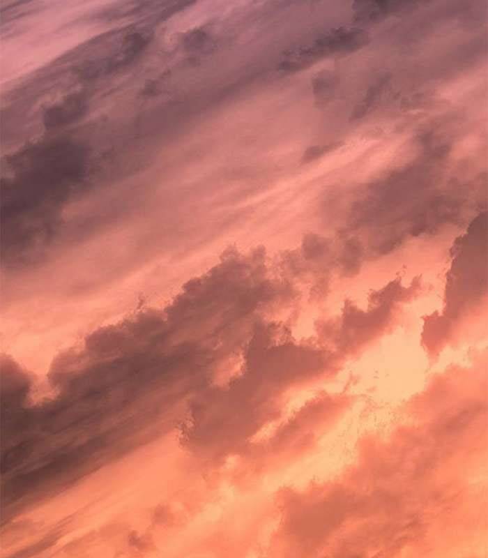 Solo Leveling Arise: Nguồn Gốc Của Thợ Săn Chapter  9 - 127