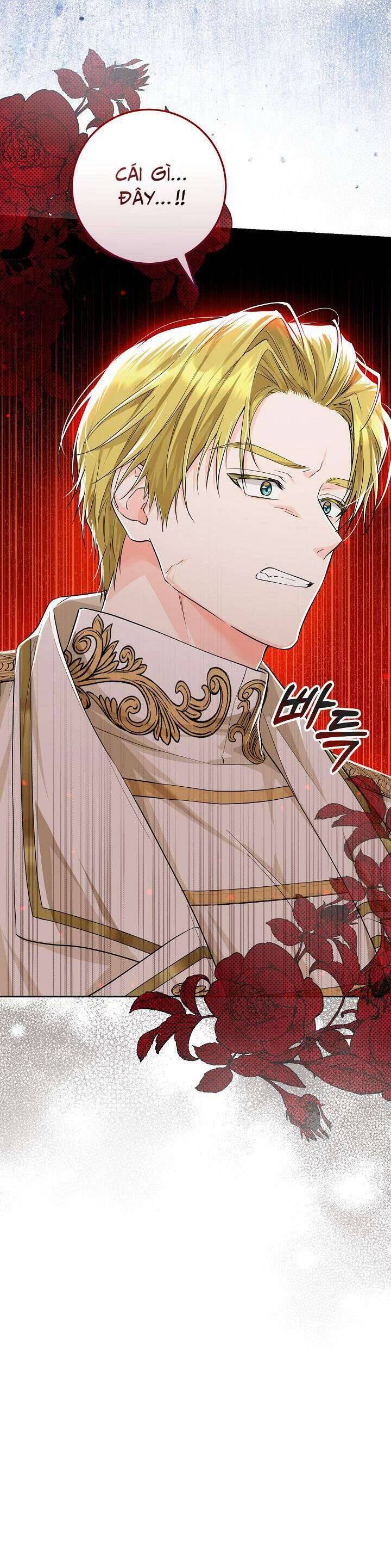 Công Chúa Nhân Danh Fan Cứng Chapter 6 - 23