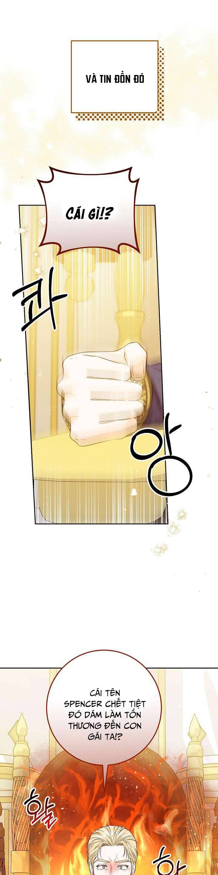 Công Chúa Nhân Danh Fan Cứng Chapter 9 - 29