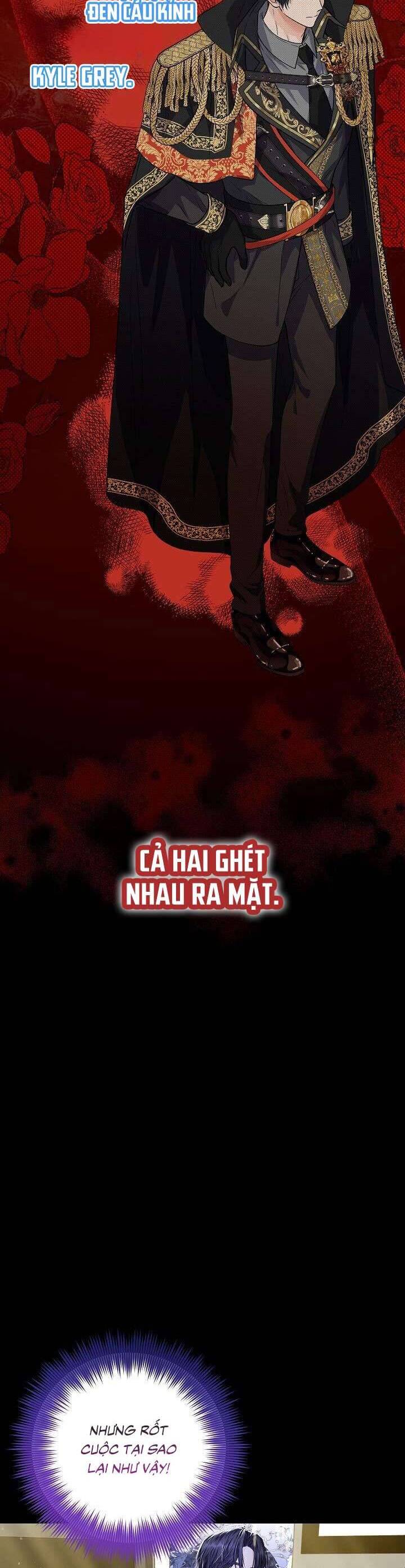 Công Chúa Nhân Danh Fan Cứng Chapter 1 - 54