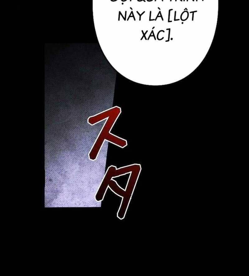 Chiến Thần Xuất Thế Chapter 10 - 28