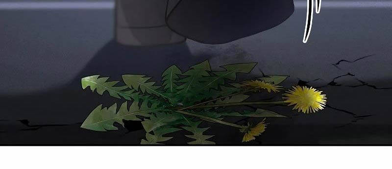 Chiến Thần Xuất Thế Chapter 1 - 18