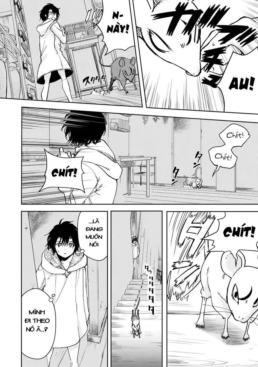 I Am A Middle-Aged Man Who Got My Adventurer License Revoked Chapter 33 - 15