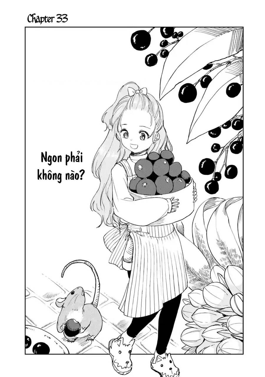 I Am A Middle-Aged Man Who Got My Adventurer License Revoked Chapter 33 - 4