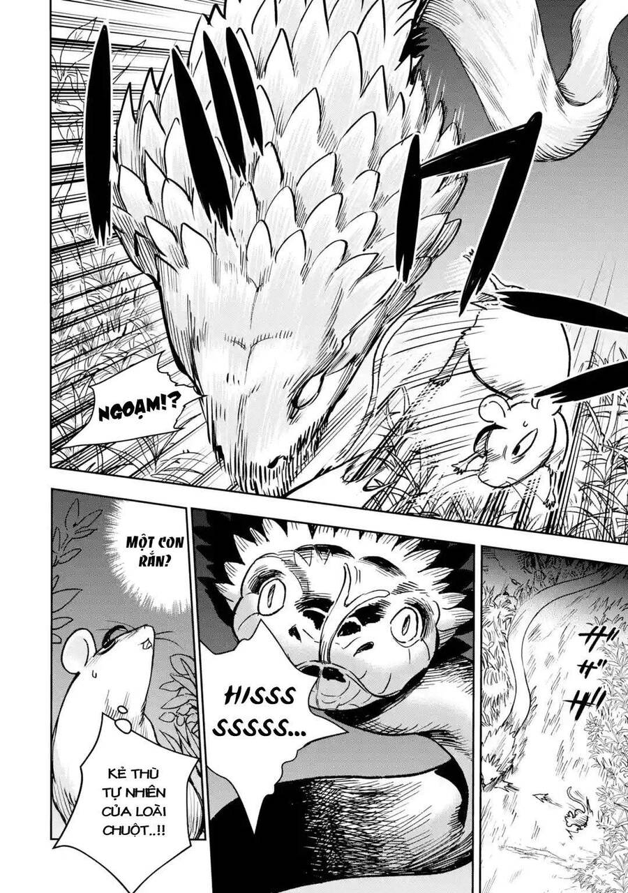 I Am A Middle-Aged Man Who Got My Adventurer License Revoked Chapter 33 - 43