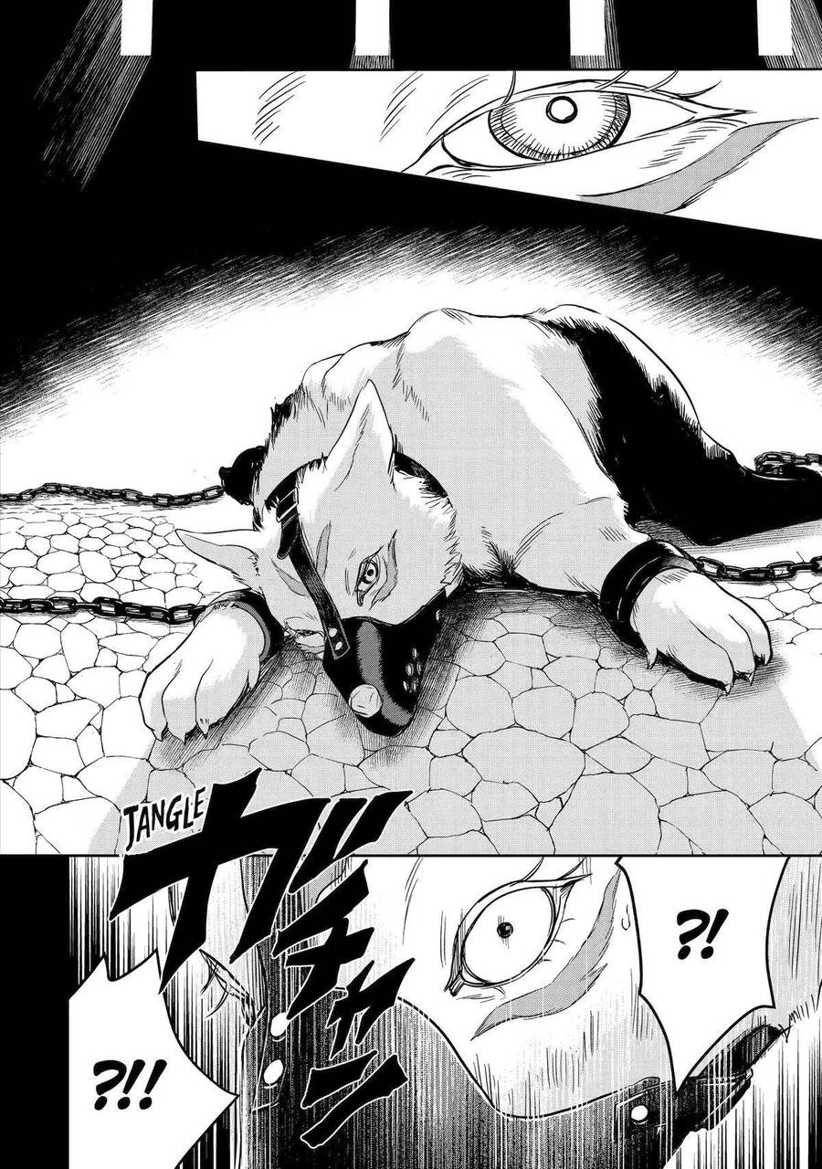 I Am A Middle-Aged Man Who Got My Adventurer License Revoked Chapter 44 - 16