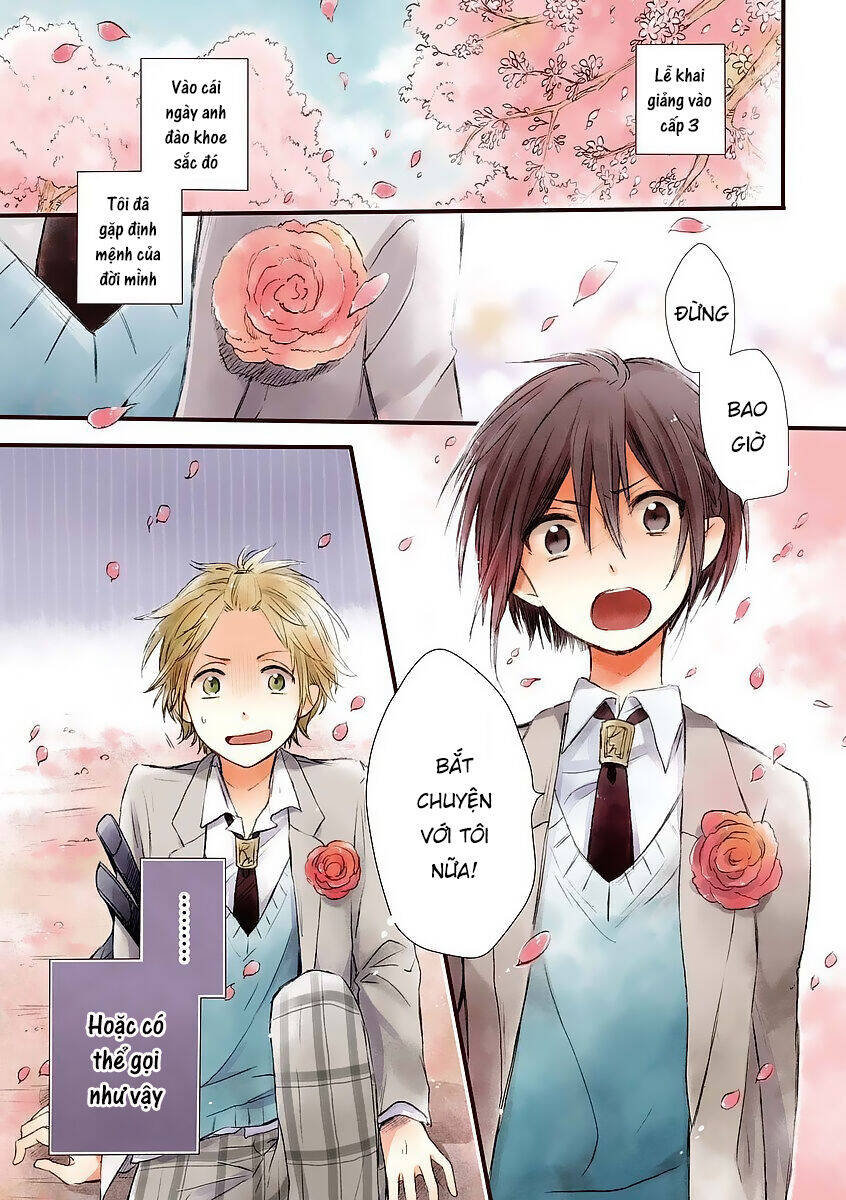 Tơ Hồng Dẫn Lối Chapter 1 - 6