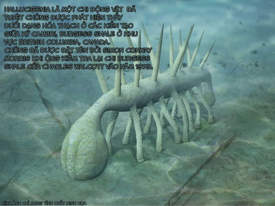 Spis, Nhân Viên Bán Hàng Chapter 3 - 5