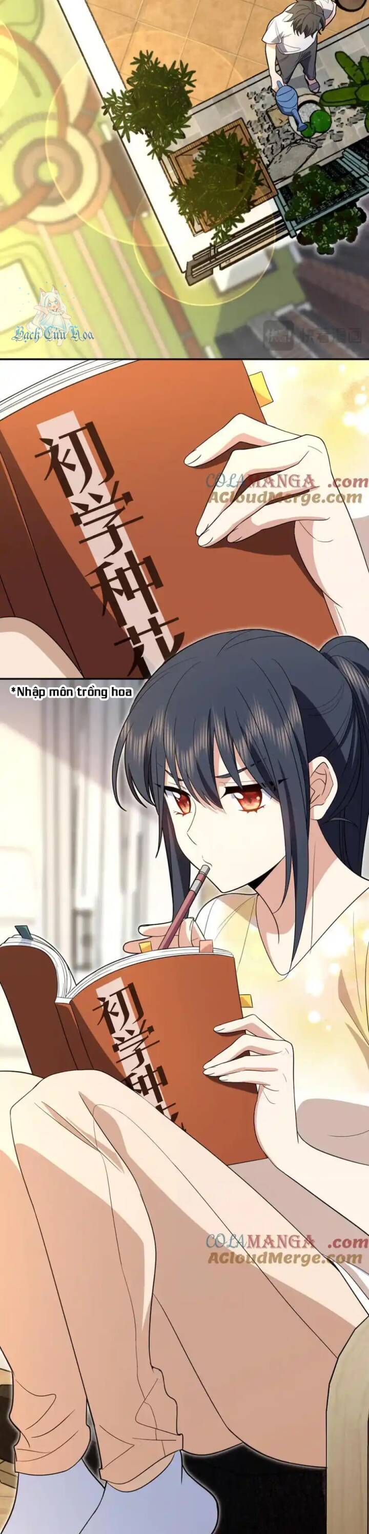 Bà Xã Nhà Tôi Đến Từ Ngàn Năm Trước Chapter 324 - 11