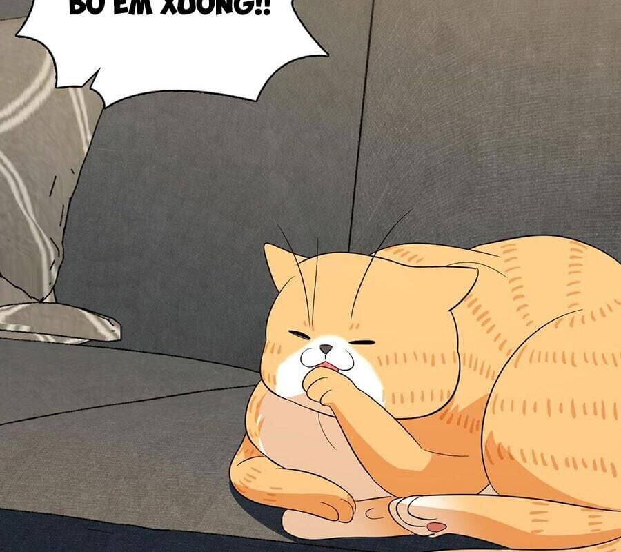 Bà Xã Nhà Tôi Đến Từ Ngàn Năm Trước Chapter 338 - 58