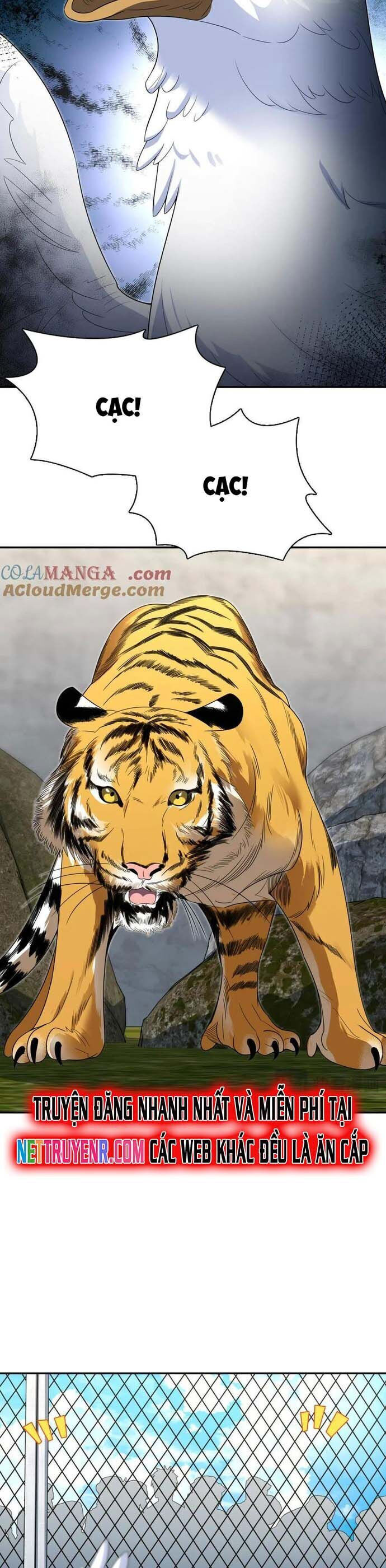 Bà Xã Nhà Tôi Đến Từ Ngàn Năm Trước Chapter 373 - 6