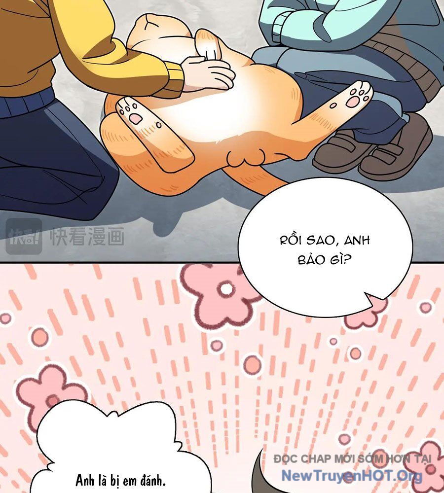 Bà Xã Nhà Tôi Đến Từ Ngàn Năm Trước Chapter 391 - 35