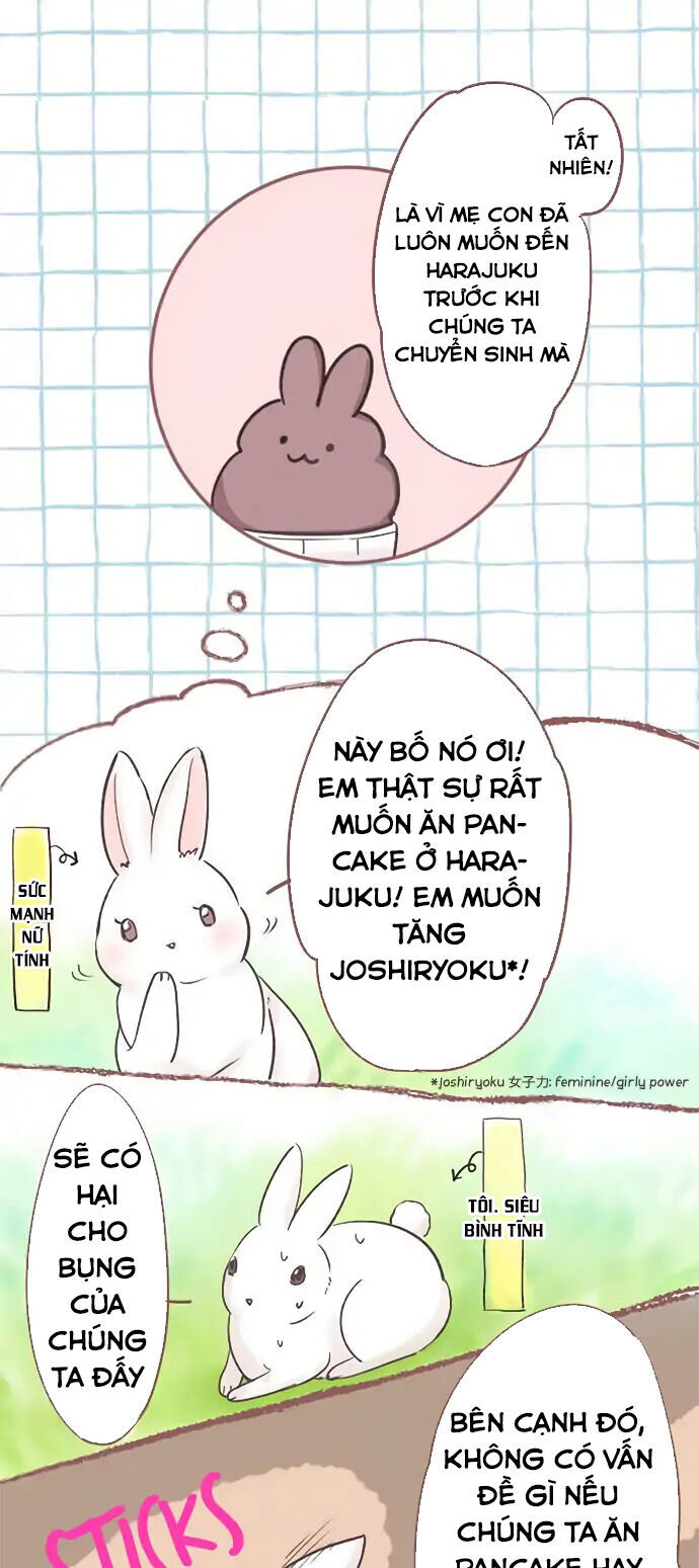 Những Chú Thỏ Ngon Miệng Chapter 2 - 5