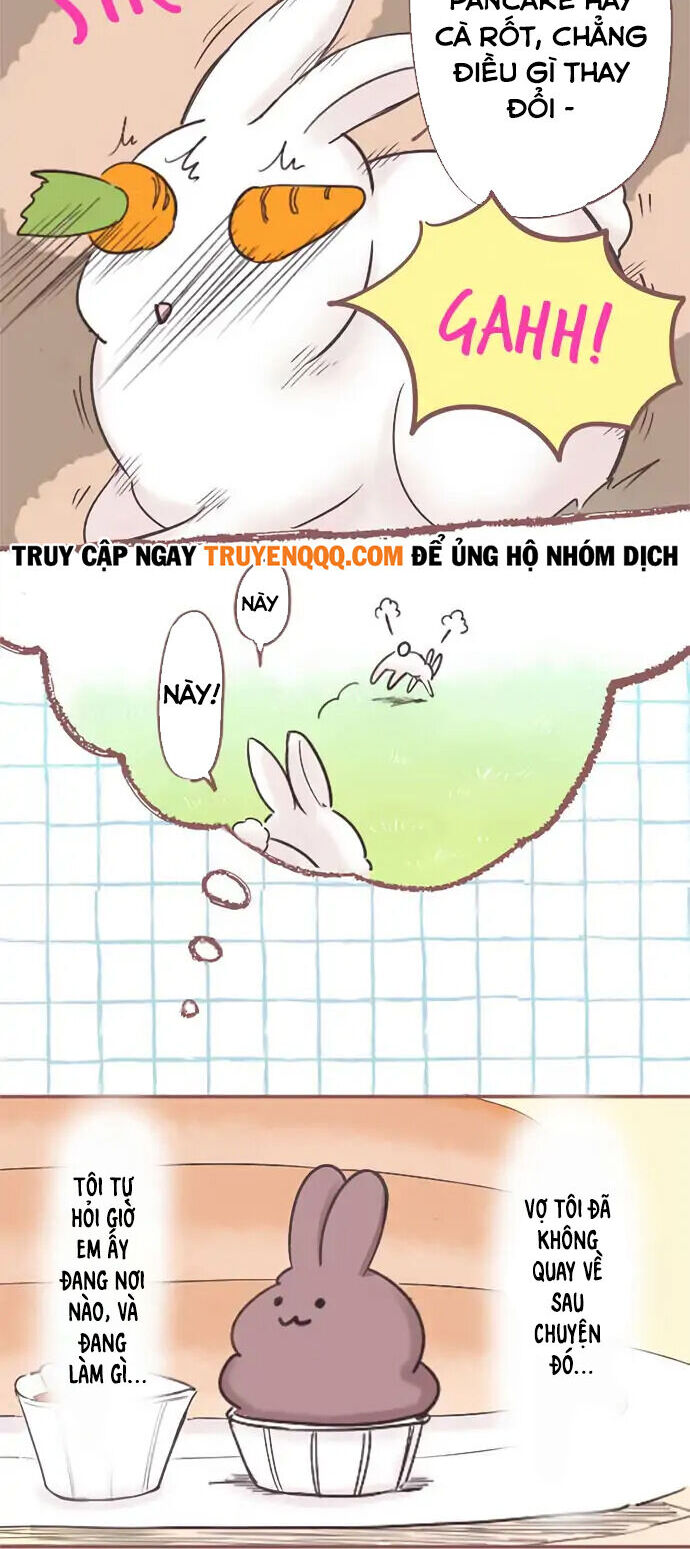 Những Chú Thỏ Ngon Miệng Chapter 2 - 6