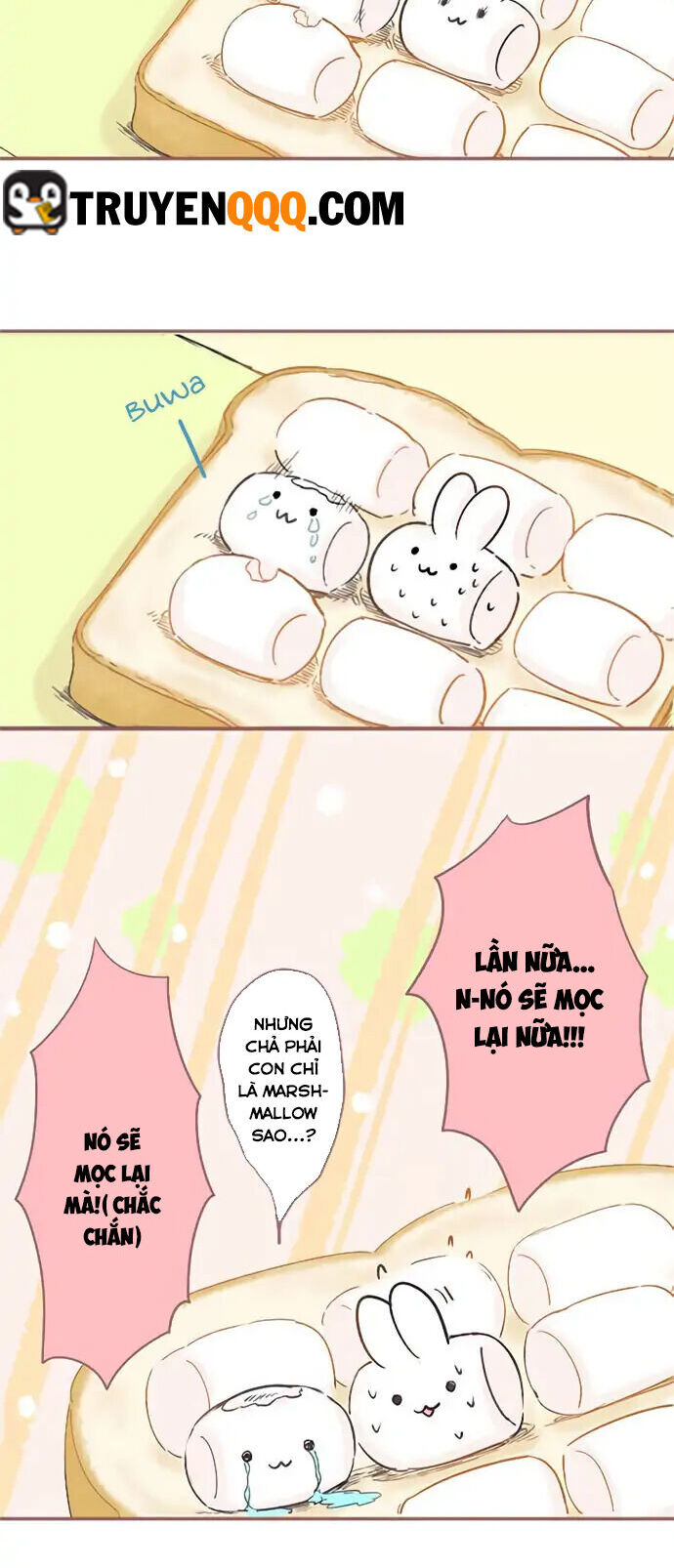 Những Chú Thỏ Ngon Miệng Chapter 3 - 9