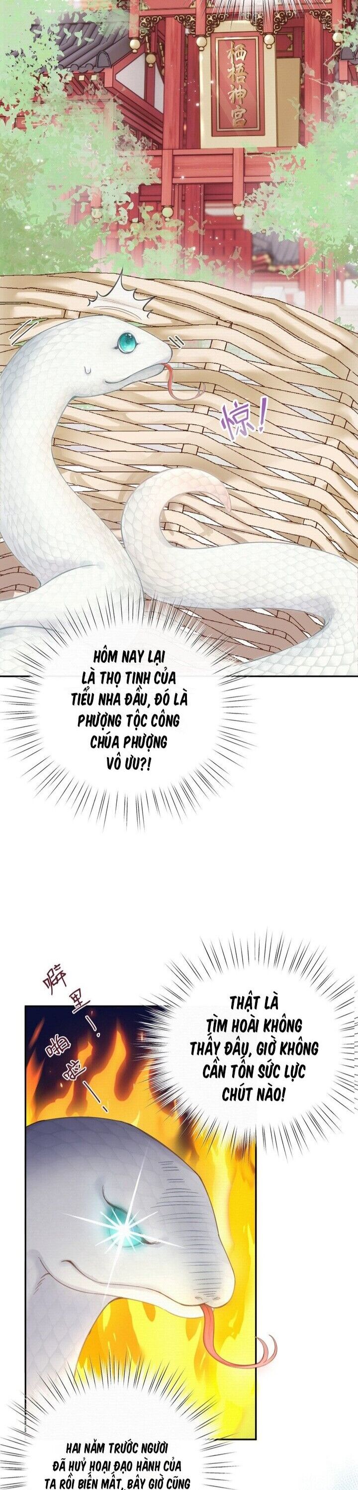 Tiểu Bạch Xà Lại Chọc Tôi Chapter  1 - 28