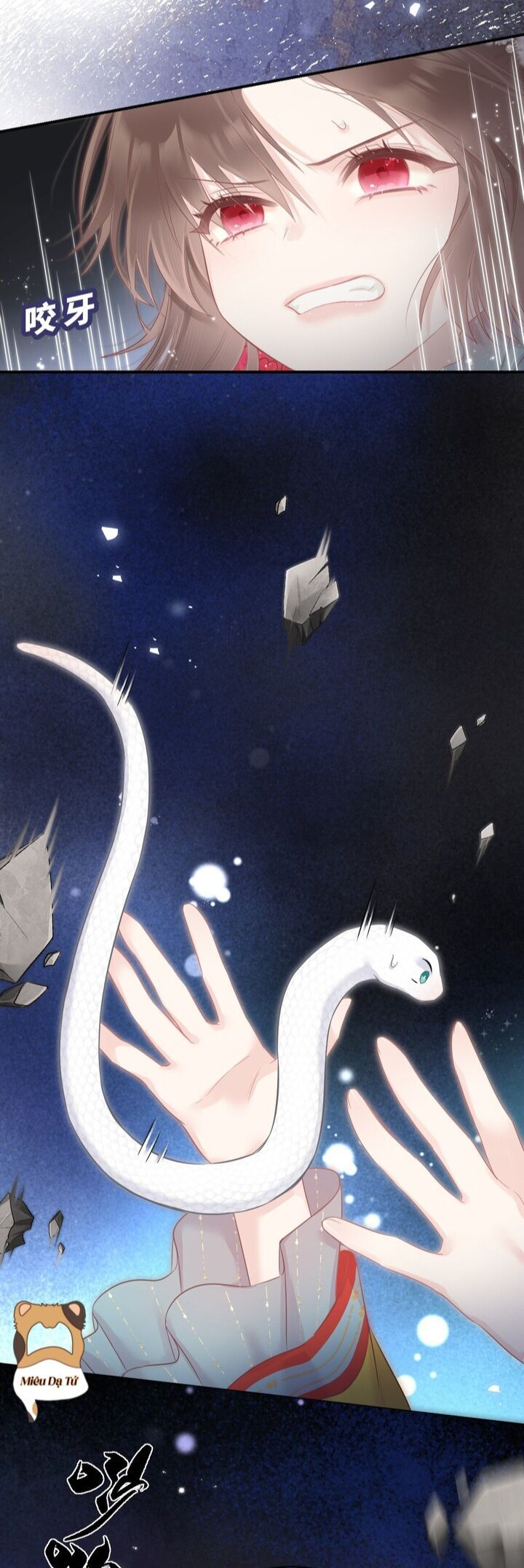 Tiểu Bạch Xà Lại Chọc Tôi Chapter 4 - 21