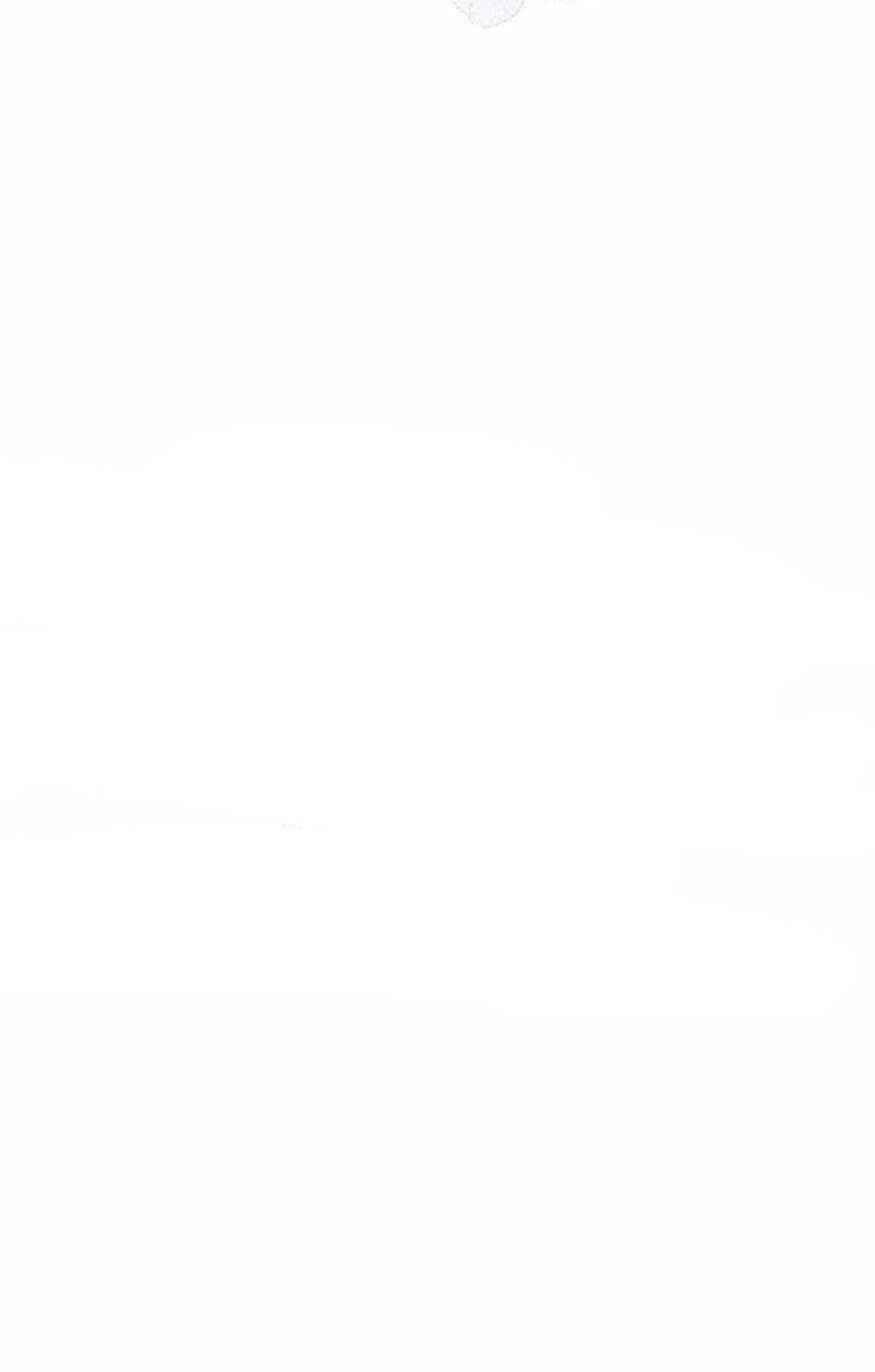 Sự Quyến Rũ Của Người Vợ Chapter  3 - 16