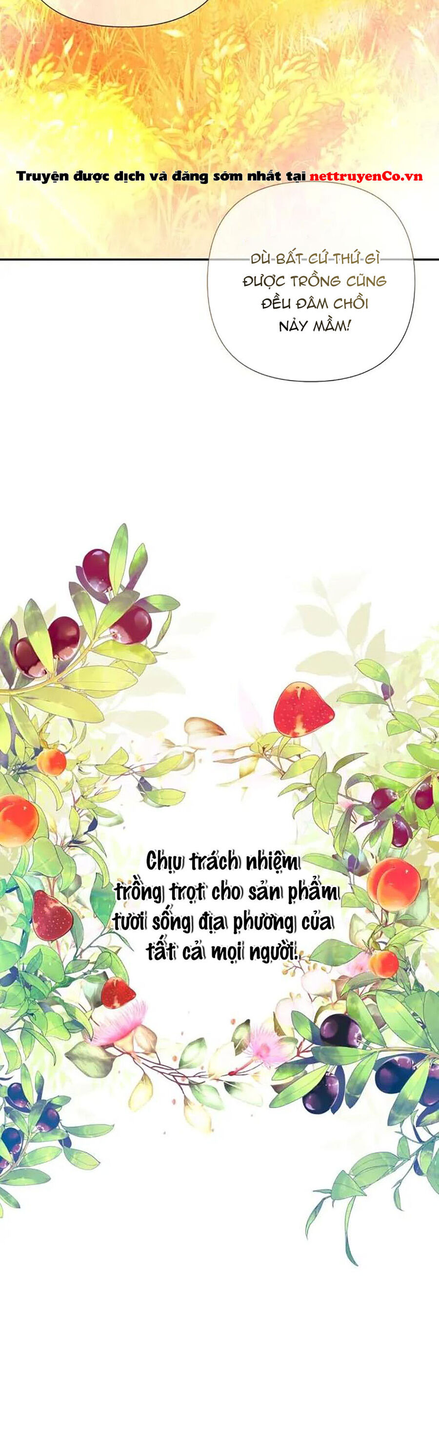 Phải Lòng Kẻ Thù Chapter  2 - 12