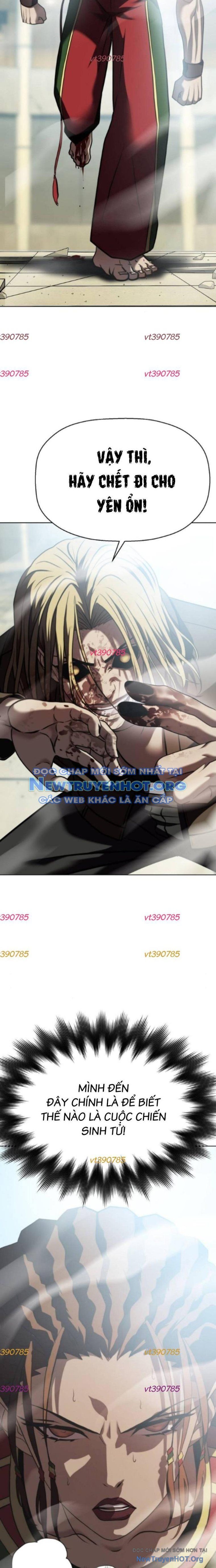 Võ Đài Sinh Tử Chapter 53 - 13