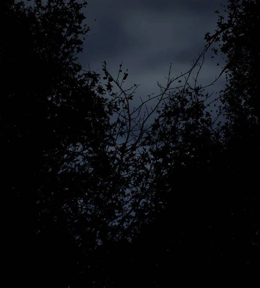 Càn Khôn Bất Dị Ký Chapter 2 - 231