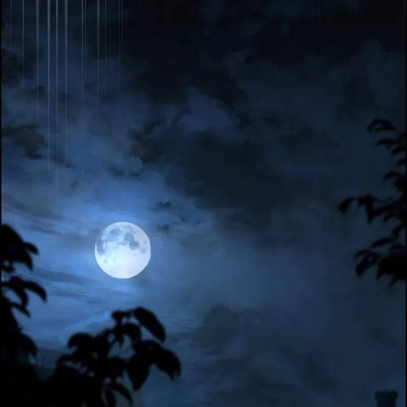 Tử Vong Quân Chủ Chapter  31 - 181