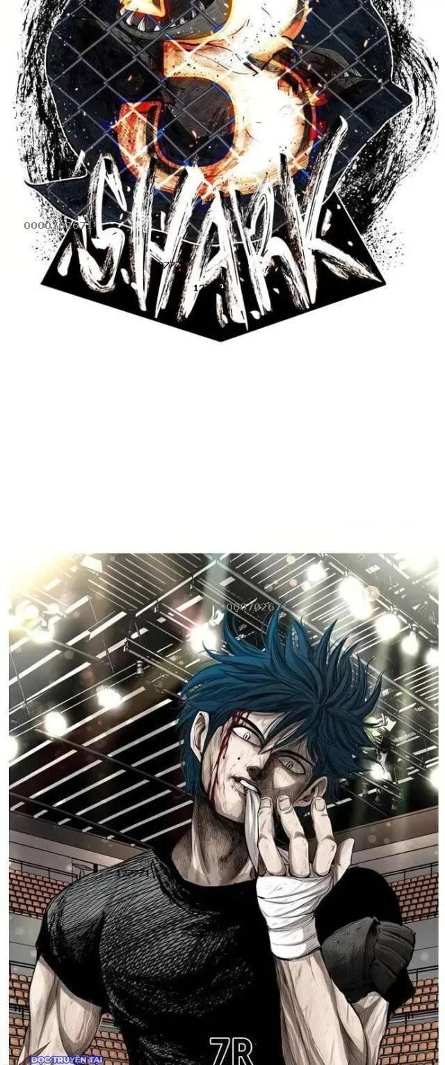 Shark - Cá Mập Chapter 128 - 2