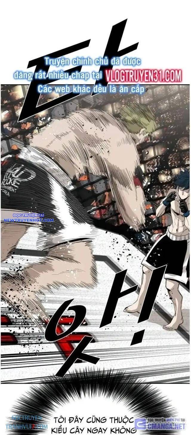 Shark - Cá Mập Chapter 144 - 12