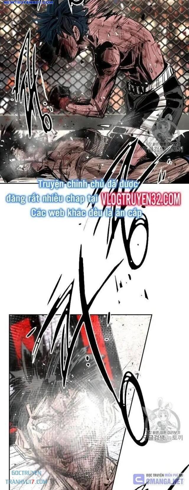 Shark - Cá Mập Chapter 164 - 13