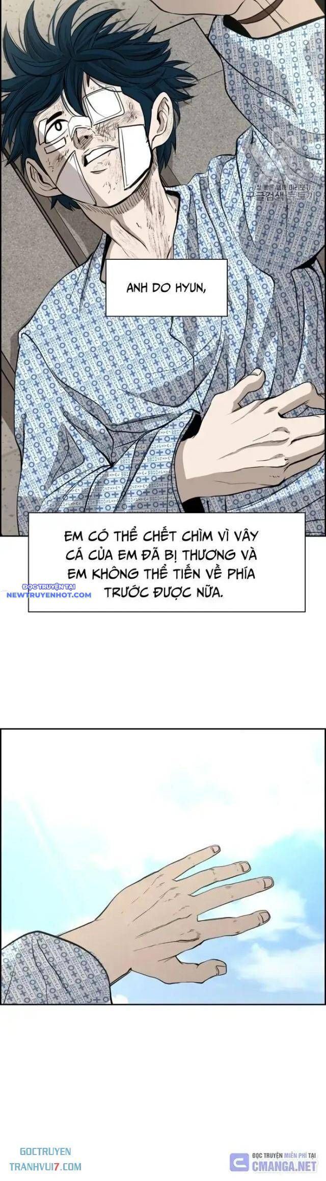 Shark - Cá Mập Chapter 176 - 12