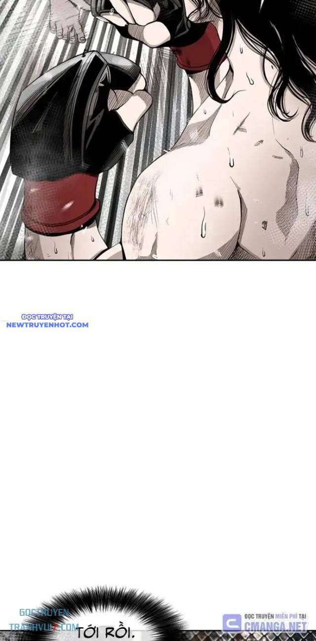 Shark - Cá Mập Chapter 184 - 12