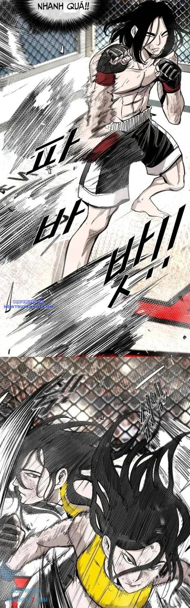 Shark - Cá Mập Chapter 184 - 13