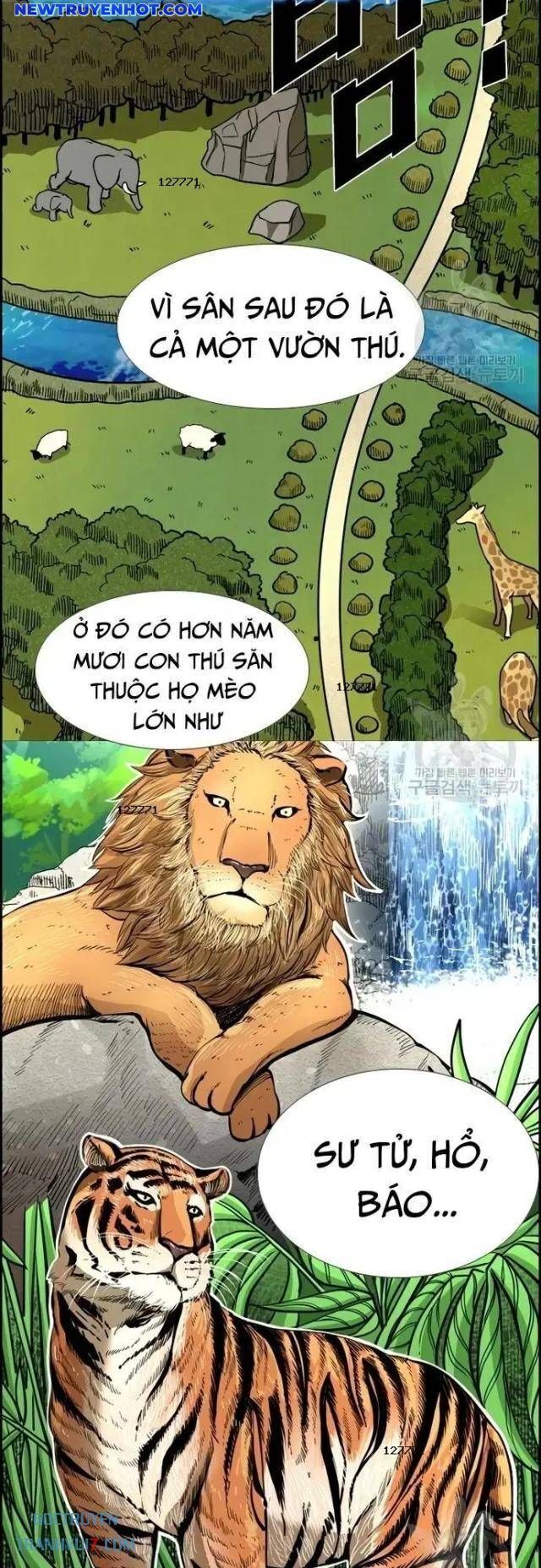 Shark - Cá Mập Chapter 222 - 10