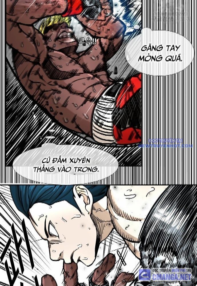 Shark - Cá Mập Chapter 261 - 32