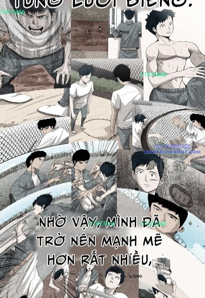 Shark - Cá Mập Chapter 273 - 9