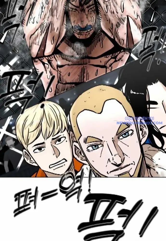 Shark - Cá Mập Chapter 279 - 26