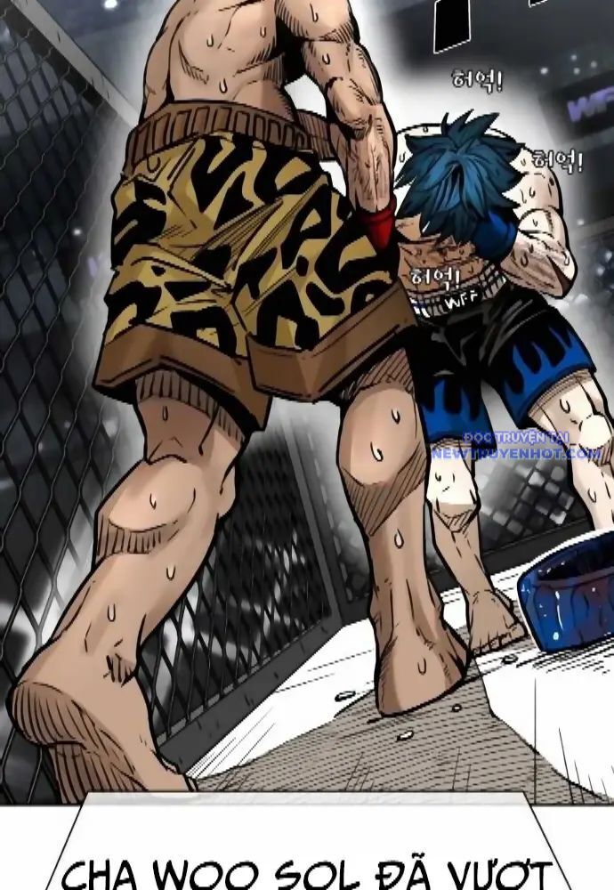 Shark - Cá Mập Chapter 279 - 50