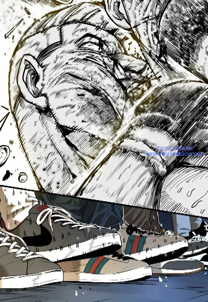 Shark - Cá Mập Chapter 281 - 62