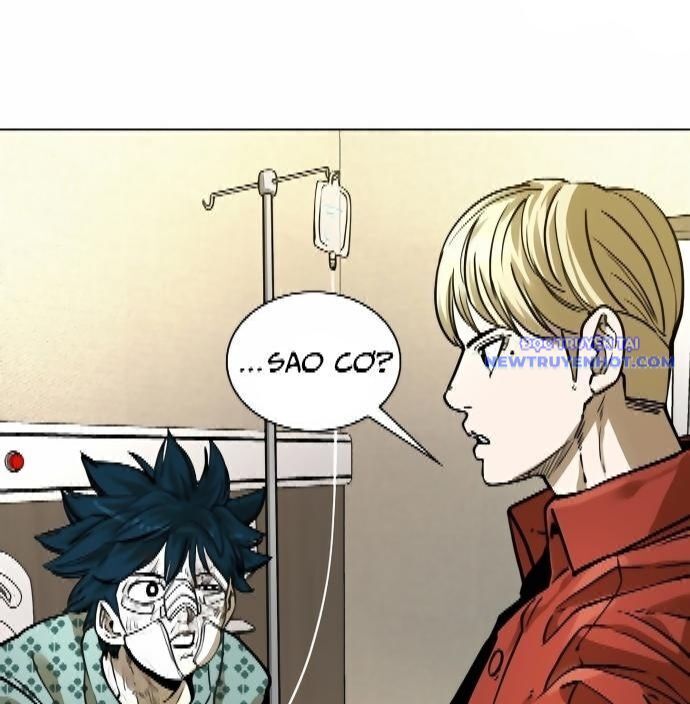 Shark - Cá Mập Chapter 290 - 16