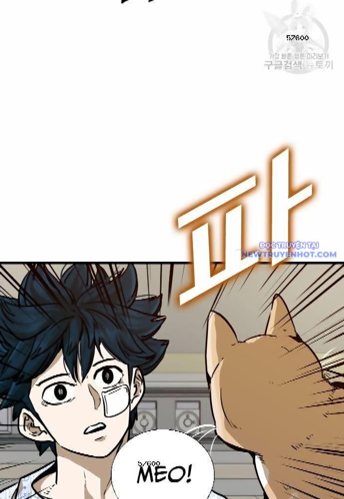 Shark - Cá Mập Chapter 295 - 16