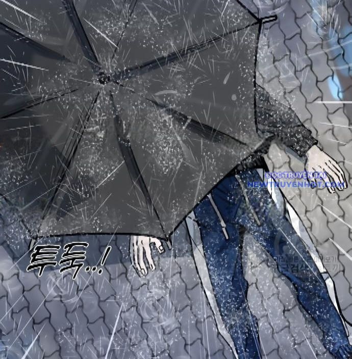 Shark - Cá Mập Chapter 299 - 11