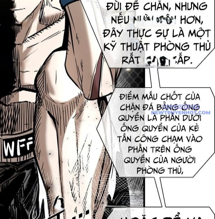 Shark - Cá Mập Chapter 334 - 89