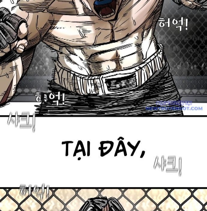 Shark - Cá Mập Chapter 337 - 168