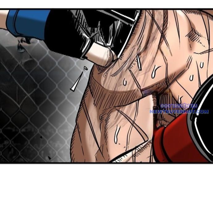 Shark - Cá Mập Chapter 338 - 14