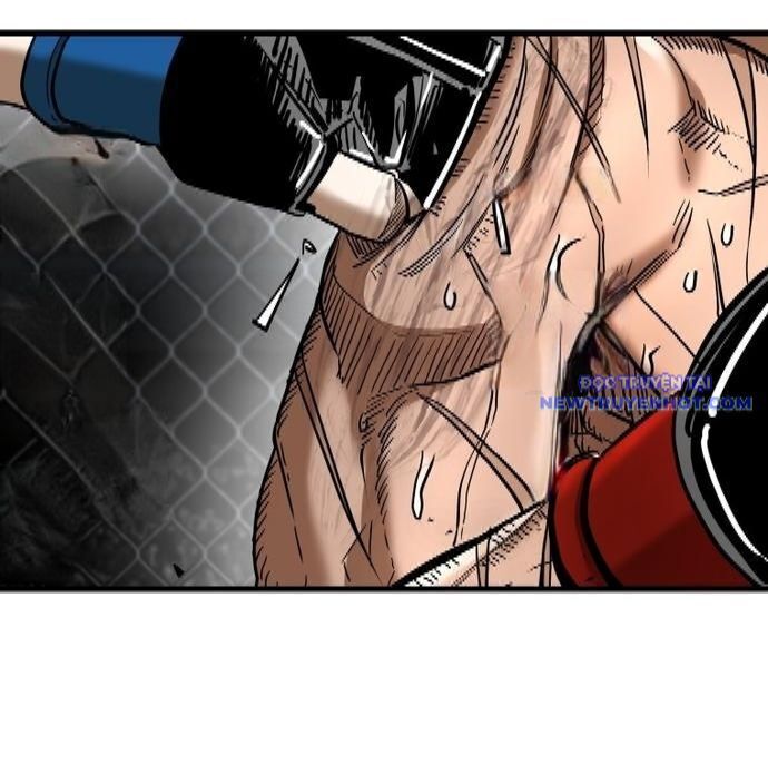 Shark - Cá Mập Chapter 339 - 15