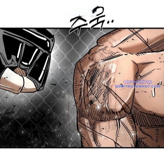 Shark - Cá Mập Chapter 339 - 16